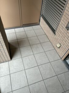 619972528756490581