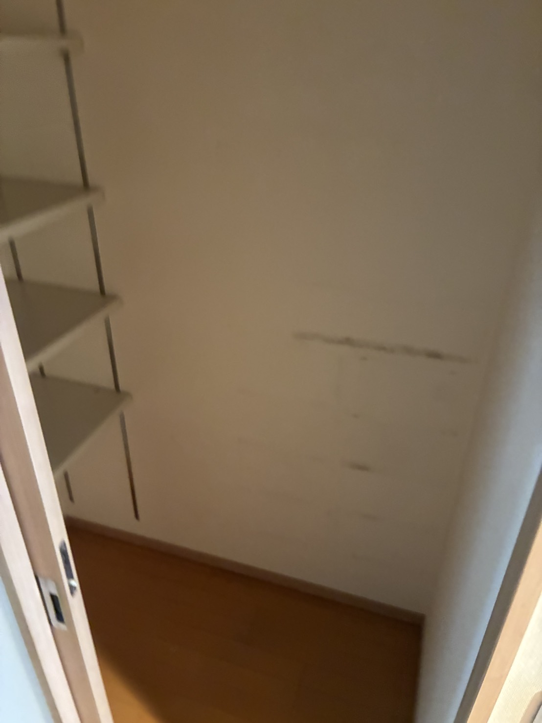 619972532699398316