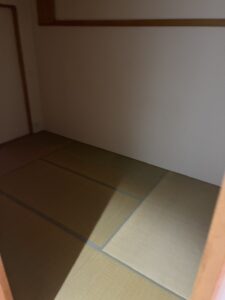 619972533118042272