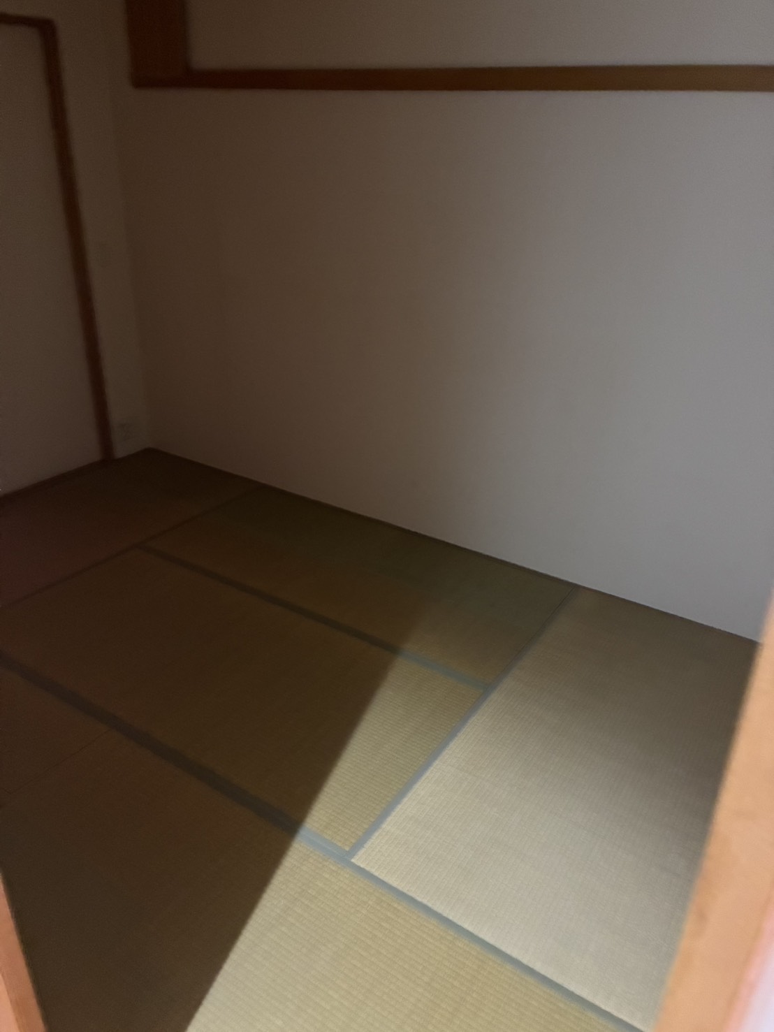 619972533118042272