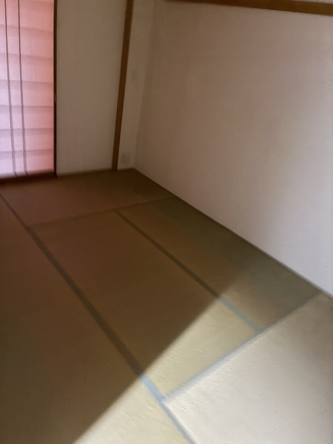 619972533806170666